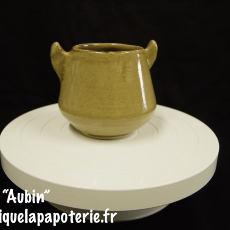 Une tasse chat dont le nom est "Aubin" - vue de dos