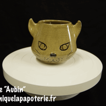 Tasse chat dont le nom est "Aubin" - vue de face