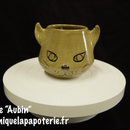 Tasse chat dont le nom est "Aubin" - vue de face