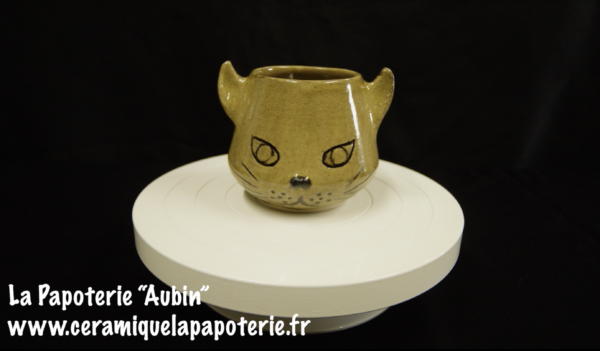 Tasse chat dont le nom est "Aubin" - vue de face