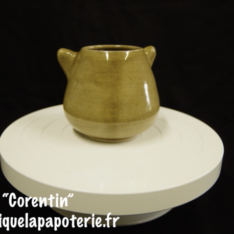 Une tasse chat dont le nom est "Corentin"- vue de dos