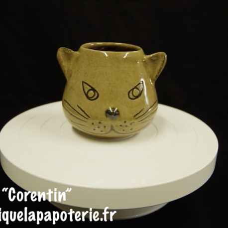 Une tasse chat dont le nom est "Corentin"