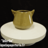 Une tasse chat dont le nom est "Merlin" - vue de dos.