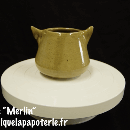 Une tasse chat dont le nom est "Merlin"  vue de dos.