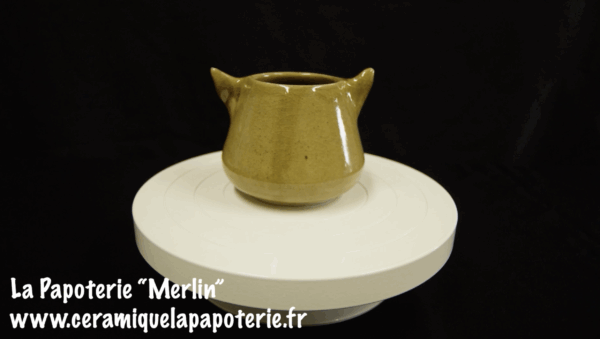 Une tasse chat dont le nom est "Merlin" - vue de dos.