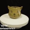 Une tasse chat dont le nom est "Merlin" - vue de face