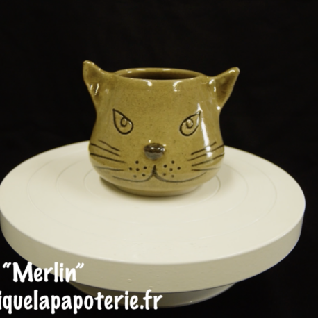 Une tasse chat dont le nom est "Merlin"   - vue de face