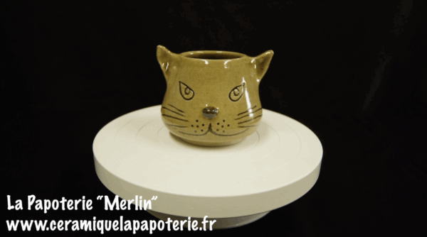 Une tasse chat dont le nom est "Merlin" - vue de face