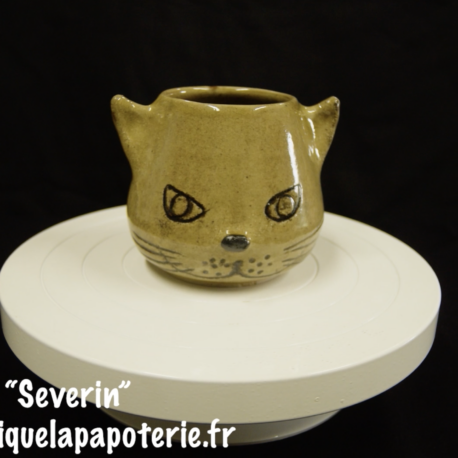 Une tasse chat dont le nom est "Séverin"