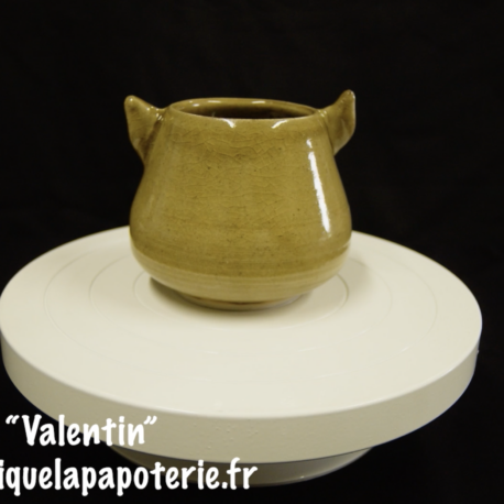 Une tasse chat dont le nom est "Valentin" - vue de dos