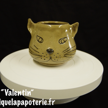 Une tasse chat dont le nom est "Valentin" 