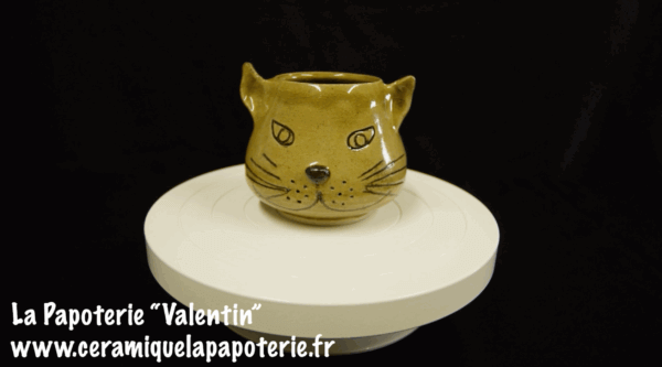 Une tasse chat dont le nom est "Valentin"