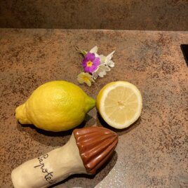 Presse-Citron manuel – Artisanal et unique en France